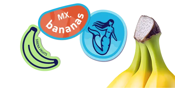 Logo de Sirena Fruits